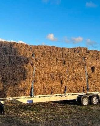 Rimorchio pianale 3 assi con ralla MC 3500 Kg.