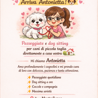 Dog sitting/ Passeggiate per i vostri cagnolini
