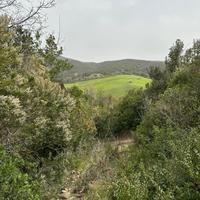 Capanno, appostamento fisso di caccia