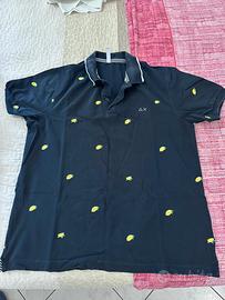 Polo AX
