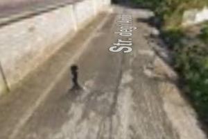 Immobile in asta di 180 m² a Palombara Sabina