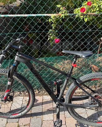 Mountain bike carbonio