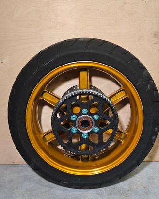 Pneumatico posteriore diablo buell