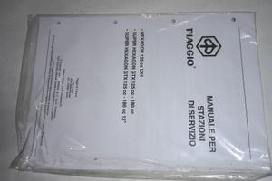 MANUALE OFFICINA HEXAGON PIAGGIO 579066/1