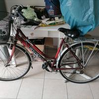 bicicletta da donna