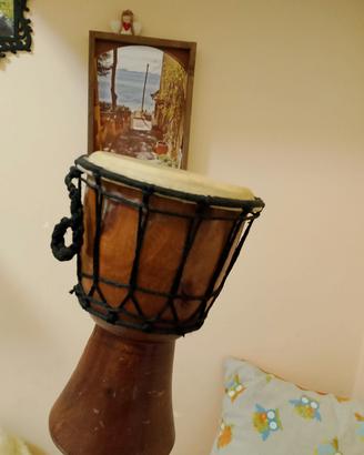 bongo