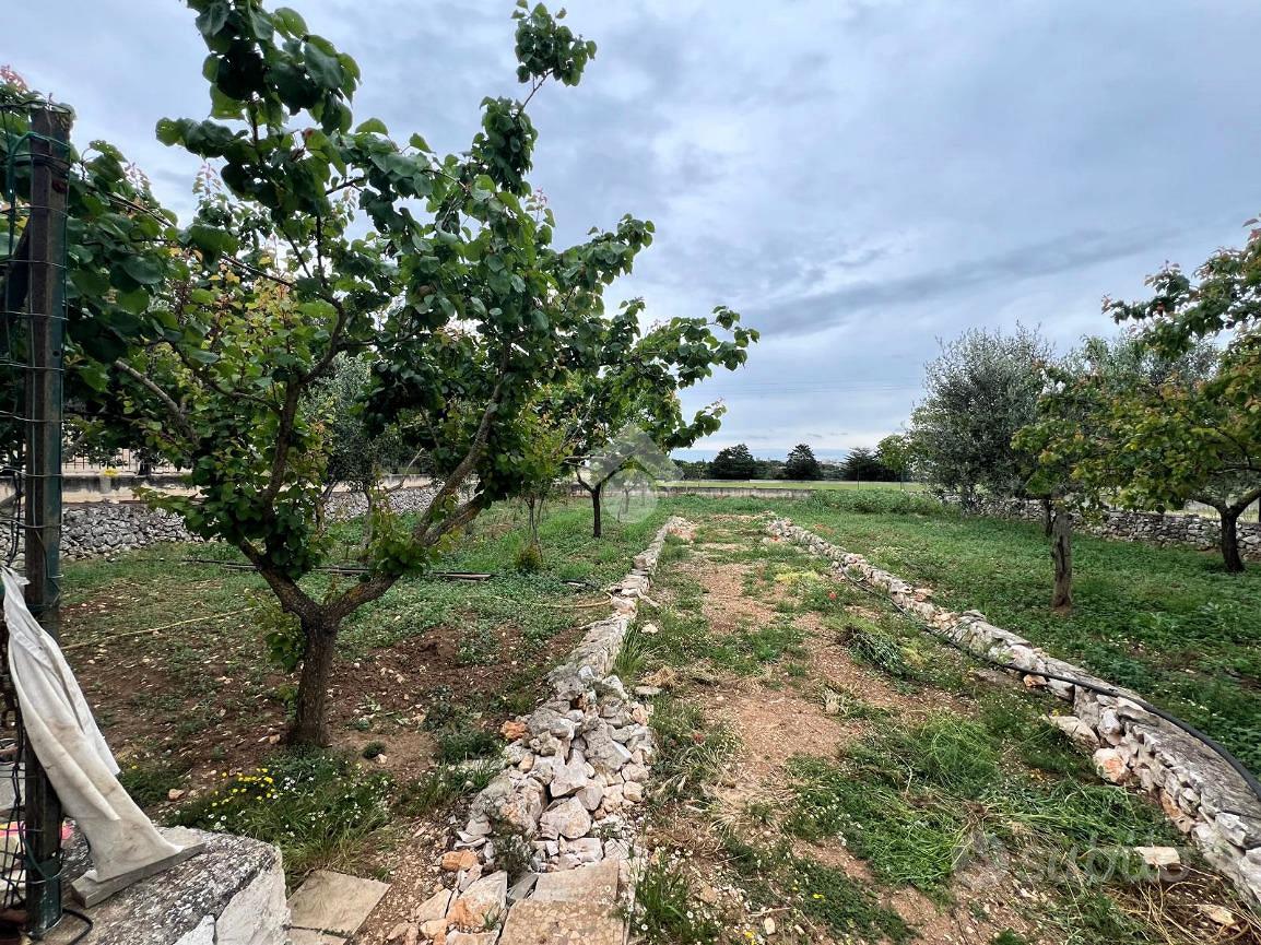 TER. RESIDENZIALE A ALTAMURA - Vista 5