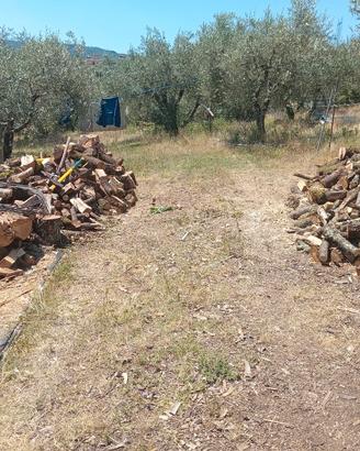 legna di quercia misura da stufa