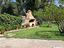 Immagine 6
