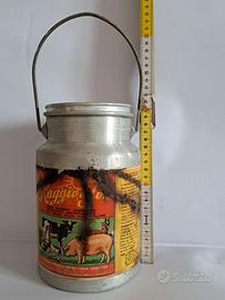 "RAGGIO DI SOLE" contenitore alimentazione animale