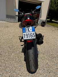 Ducati Monster SP accessoriata - 2024