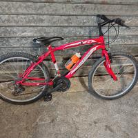 MTB 24 