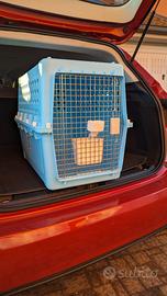 trasportino aereo rigido per animali, soddi