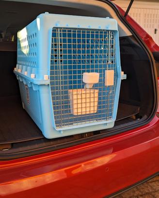 trasportino aereo rigido per animali, soddi