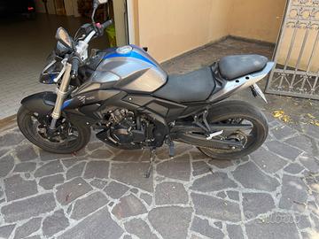 Voge Brivido 500 - 2021