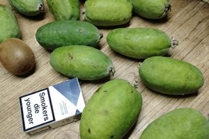 Quiliano-terreno 40000 trattabili