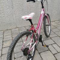 MTB Vicini