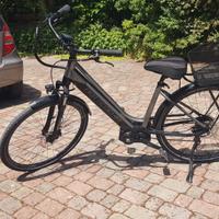 bicicletta
