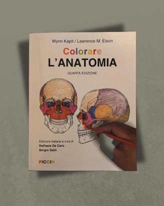 Colorare l’anatomia