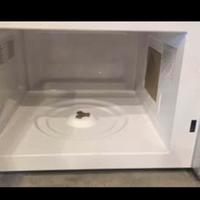 Fornetto a microonde