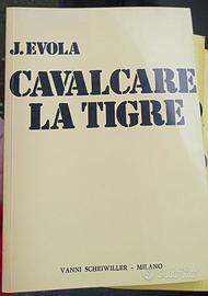 "Cavalcare la tigre"