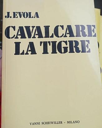 "Cavalcare la tigre"