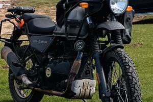 himalayan 411