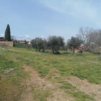 Terreno con magazzino e pozzo