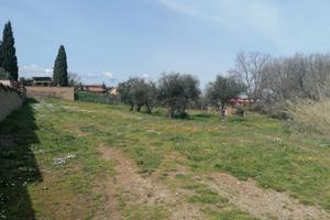 Terreno con magazzino e pozzo