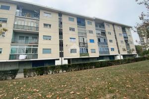 5 LOCALI A TORINO