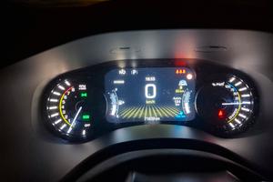 Renegate Limited Plug in