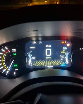 Renegate Limited Plug in