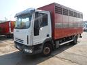 iveco-eurocargo-100e18-trasp-animali