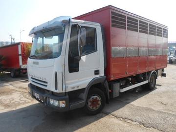 Iveco eurocargo 100e18 trasp animali