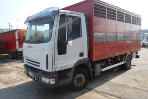 Iveco eurocargo 100e18 trasp animali