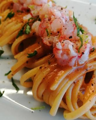 Vuoi provare un'esperienza unica nel suo genere?Vi