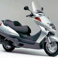 HONDA FORESIGHT 250 98 ricambi vari