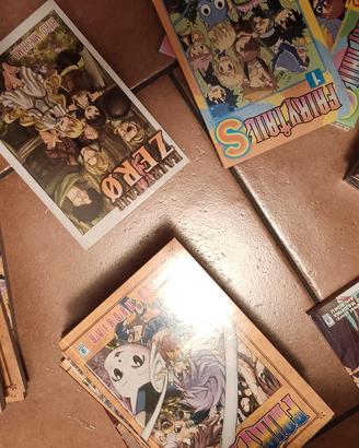 Fairy tail completa