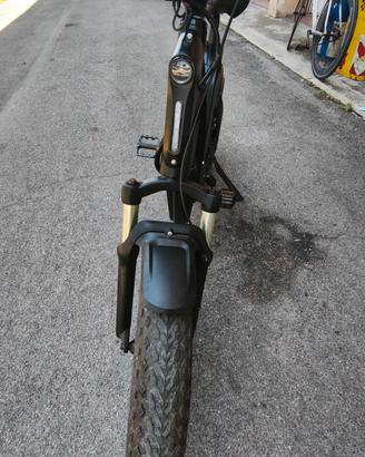 Fantic issimo 25