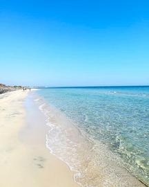 Vacanza in Salento LAST MINUTE
