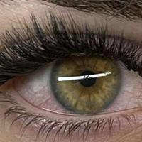 ciglia finte,  extension ciglia..