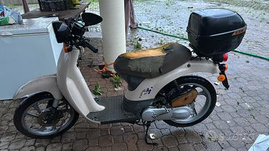 Scooter 50