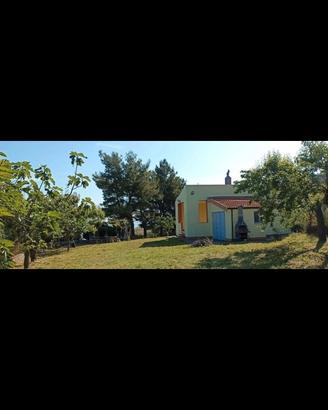 Villa con terreno