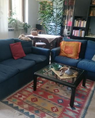 Un divano tre posti (letto) e un divano due posti.