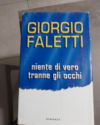 Niente di vero tranne gli occhi 