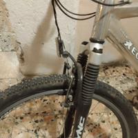 Mountain bike da uomo