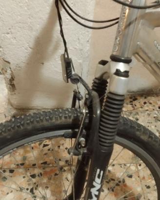 Mountain bike da uomo