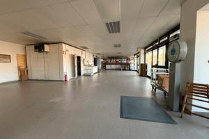 Negozio Termoli [Cod. rif 3206615VCG]