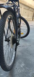 bicicletta mountain bike