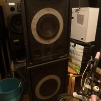 Casse passive da concerto